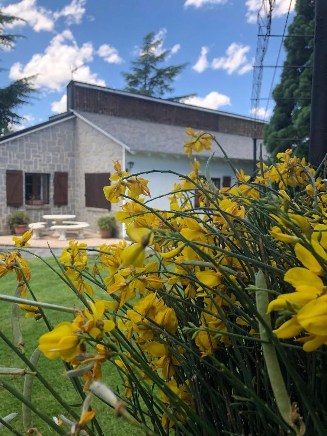 Villa Aurelia - Casa De Campo Con Jardin Y Piscina Entre Madrid Y Segovia Ortigosa del Monte Εξωτερικό φωτογραφία